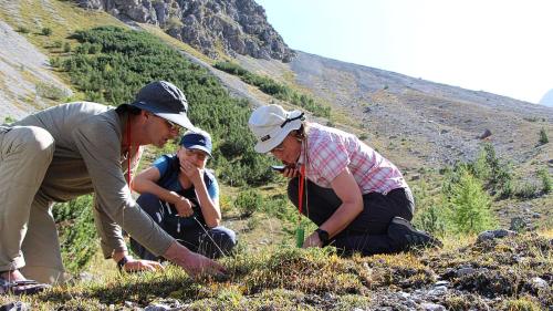 Christian Rixen, Stefanie Jacomet und Ingrid Jansen erfassen und prüfen die Pflanzenarten in der Val Sampuoir. Foto: Stefanie Wick Widmer