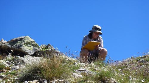 Sonja Wipf erforscht die Wirkungen der Klimaerwärmung auf die Pflanzen in Schweizerischen Nationalpark. Foto. zVg