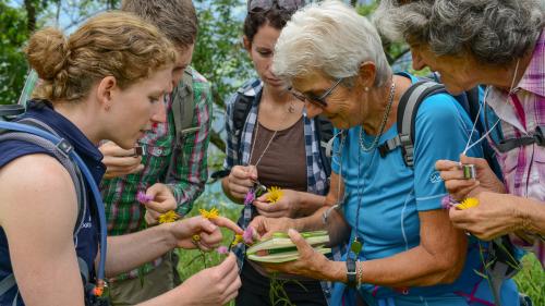 La biologa Constanze Conradin culs partecipants e las partecipantas d’üna da sias excursiuns botanicas in Engiadina Bassa (fotografia: Botanik Exkursionen).