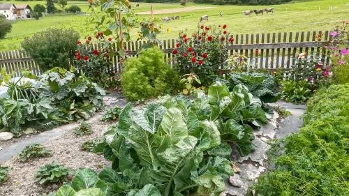 Der Gemüsegarten von Corina Bott im September. Die Bäuerin sät kälteunempfindliches Gemüse später an, um es im Herbst zu verarbeiten, wenn die Heuernte vorbei ist. Foto: Corina Bott