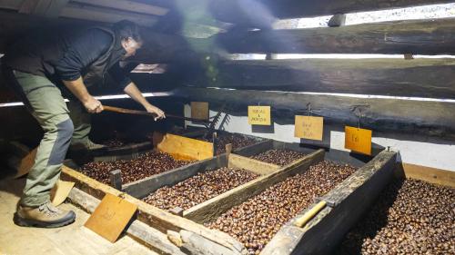 Eines der vielen Dörrhäuser erhält einen finanziellen Zuschuss. Foto: : Coop Ostschweiz-Ticino/Nicola Pitaro