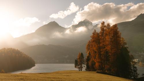 Goldene Tage am St. Moritzersee. Foto: St. Moritz Tourismus AG