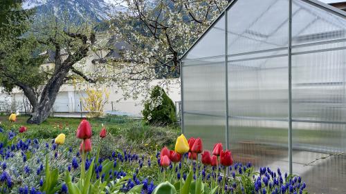 Zum Gartenglück gehört neuerdings auch ein Gewächshaus dazu. Foto: Fadrina Hofmann