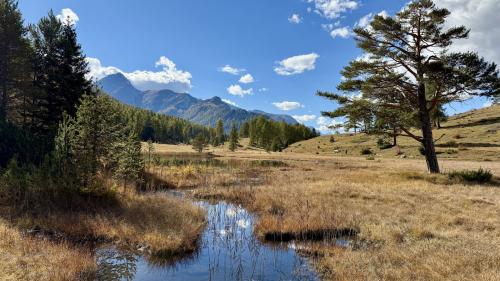 Lai Nair im Herbst. Foto: Fadrina Hofmann