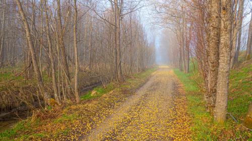 Ramponierter Radweg zwischen La Punt und Bever.  Foto: Daniel Zaugg