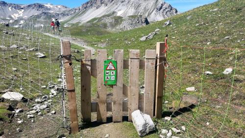 Vers il Lai da Rims in Val Müstair signaliseschan plüssas tablas als viandants chi’d es da far attenziun pervi da chans pasturs (fotografia: David Truttmann).
