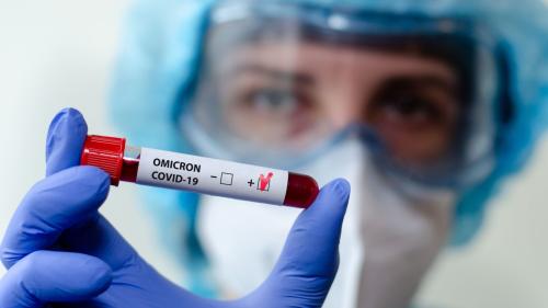 Foto: shutterstock.com/Lutsenko_Oleksandr