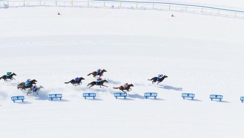 Spektakel pur auf eisigem Weiss: Die Jockeys treiben ihre Pferde beim Flachrennen zu Höchstleistungen. Foto: White Turf/Andrea Furger