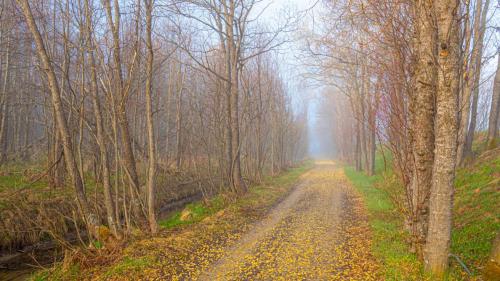 Ramponierter Radweg zwischen La Punt und Bever.  Foto: Daniel Zaugg