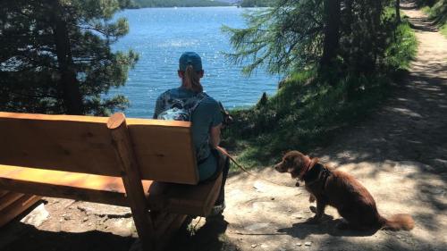 Ort der Ruhe auf Chastè in Sils. Foto. z.vfg.