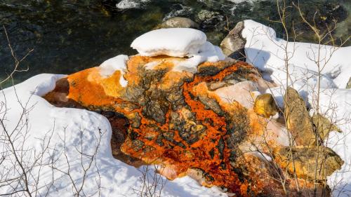 «Aua Forta» as nomnan ils dis da l’aua chi han cumanzà als 22 da marz cun ün webinar cul tema «aua, clima e turissem in territoris muntagnards: sfidas e soluziuns». (fotografia: Dominik Täuber).