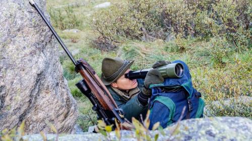 Archivbild: Jon Duschletta