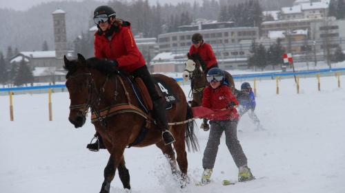 Skikjöring ist die grosse Attraktion am Family Day. Foto: Julia Biffi