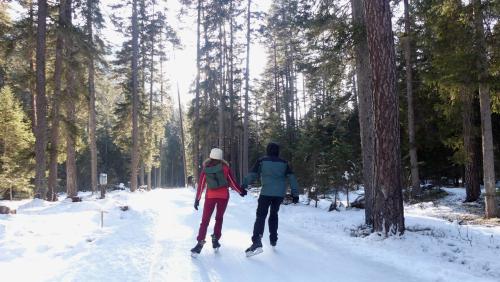 La via da glatsch a Sur En, Sent procura per milliuns da views illas medias socialas e per schurmas da visitas sül lö (fotografia: Dario Müller).