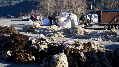 Blick auf den Woll-Sammelplatz in Scuol, wo die Unterengadiner Schafwolle zusammengetragen und sortiert wurde. Foto: Barbara Esther Siegrist