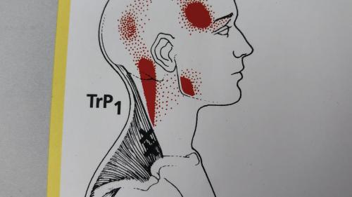 Macht der Mai wirklich alles neu?