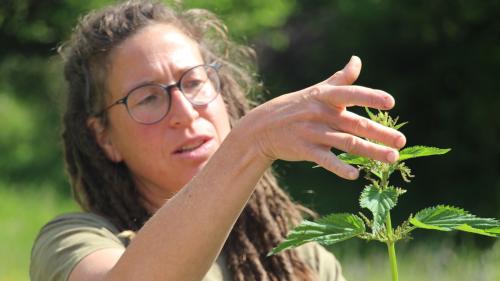 Fabienne Berchtold erklärt Umgang und Verwendung von Brennesseln. Foto: Stefanie Wick Widmer