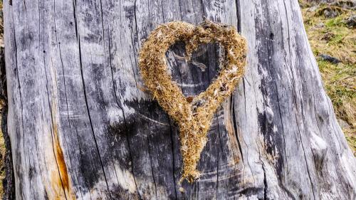 «Frisch verliebt in den Planeten Erde.» Unter diesem Motto will das WEF Wege finden, wie ethisches Handeln in den Alltag, in die Wirtschaft und die Politik integriert werden kann. Foto: Jon Duschletta