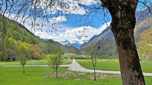 Ein Blick auf die Ebene (Caltüra) bei Bondo. Aufgenommen vor wenigen Tagen.  Foto: Jane Bihr