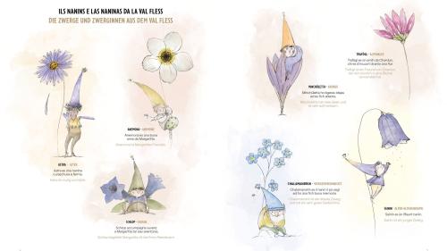 Die Illustrationen stammen von der Feder von Miriam Caligari. Illustration: Gammeter Media SA