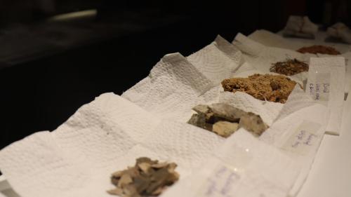 Ils sedimaints da diversas funtanas cha l’artista Regula Verdet-Fierz ha dovrà per l’exposiziun actuala (fotografia: Martin Camichel).