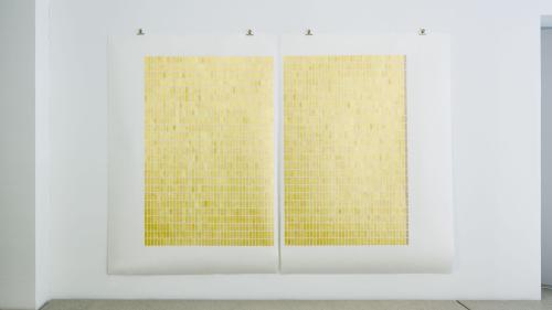 «Golden Cage, 800kybp» von Stefan Schlumpf. (Foto: z.Vfg)