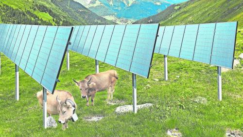 L’Axpo vaiva fat üna visualisaziun per implants solars immez la pas-chüra pel proget a Nalps (fotografia: Axpo).