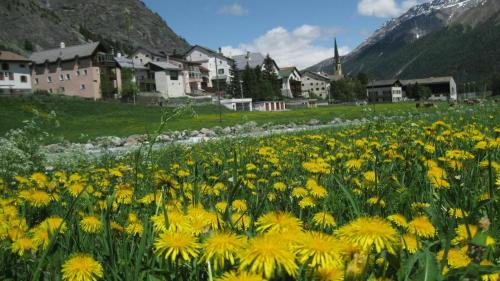 fotografia: Jon Duschletta