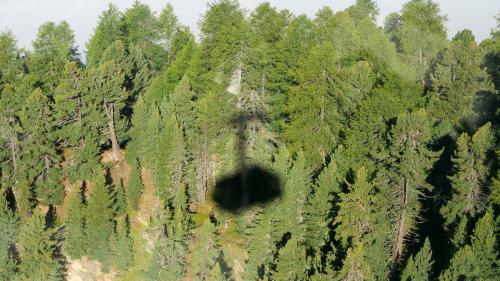 Foto: Jon Duschletta