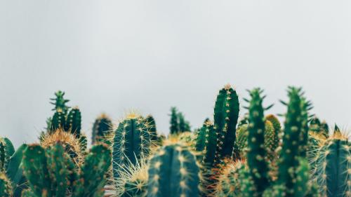 Thomas Verbruggen (www.unsplash.com)