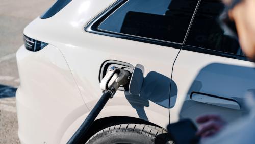 Foto: shutterstock.com/FabrikaSimf