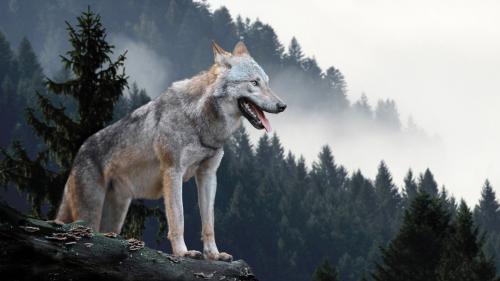 Symbolfoto: shutterstock.com/Volodymer Burdiak