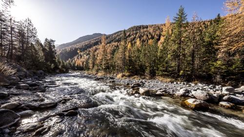 La destinaziun turistica d’Engiadina Bassa Val Müstair s’ingascha daspö blers ons per sportas turisticas persistentas (fotografia: Andrea Badrutt).