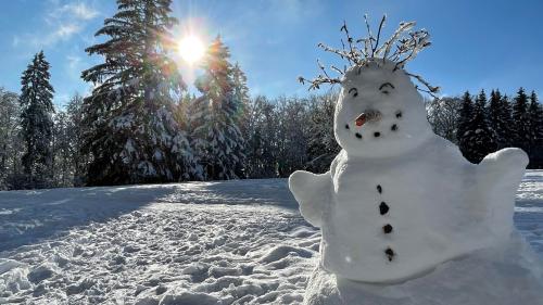 Foto: Pixabay, Xavier Turpin