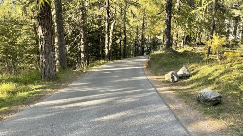 Diese unübersichtliche Kurve auf der Via da Fex wurde einem Fahrradfahrer zum Verhängnis. Foto: Kapo Graubünden