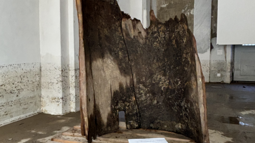 Las parts pü grandas da l’inchaschamaint da funtauna preistoric sun  restedas i’l Forum Paracelsus per süjer (fotografia: Martin Camichel).