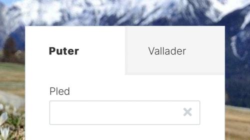 Tuot in üna vouta do que quatter dicziunaris ladins online – quels da Gion Tscharner ed ils oters da l’Uniun dals Grischs (fotografia: mad)