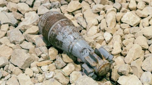 Foto: shutterstock.com/diy13