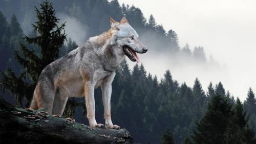 Foto: www.shutterstockVolodymer Burdiak