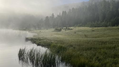 Der Stazersee im Oberengadin, umgeben von wertvollen Moorflächen. 		
Foto: Reto Stifel