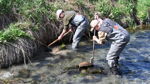 Fotos: Marco Salzmann
