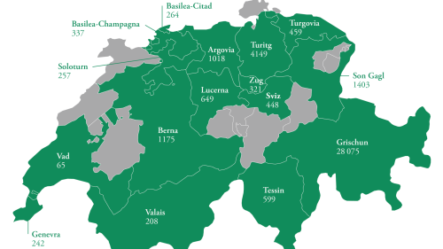 La «populaziun» rumantscha es gnüda calculada adüna culla media da las cifras dals ons 2017 fin 2021 tenor las cifras da l’Uffizi federal da statistica. Pels chantuns sainza cifras nu daja avuonda datas (grafica: RTR)