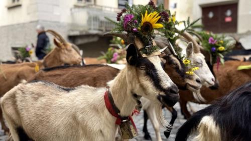 Foto: Fadrina Hofmann