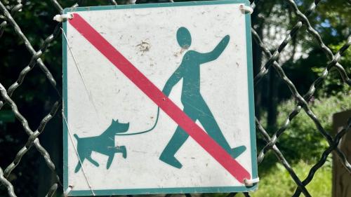 Foto: Romana Ganzoni 