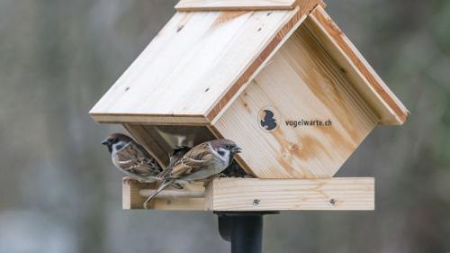 Foto: Marcel Burkhardt