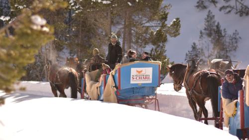 Seit sieben Jahren führt Jon Steivan Peer die «Schlittrada S-charl». Davor fuhr er zwölf Jahre lang für den Reitstall San Jon die Gäste in die ehemalige Bergbausiedlung (Foto: Marina Gachnang).