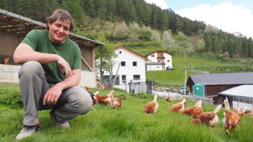 Armon Mayer hält auf seinem Bio-Hof im Unterengadin 1000 Hühner. Er ist gegen die «Agrarinitiativen».