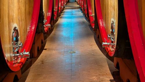 Foto: Sina Margadant