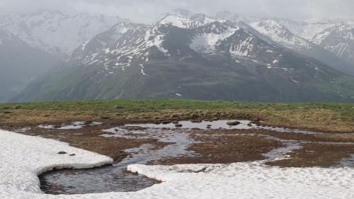 Schneeschmelze in den Bergen: Ist der Schnee weg und der Boden warm genug, treiben erste Pflanzen aus. Foto: Michael Zehnder/SLF