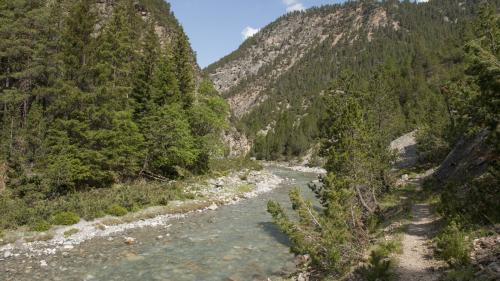 Zehn Jahre nach dem PCB-Unfall wird der Spöl ab 2026 saniert. Foto: Schweizerischer Nationalpark